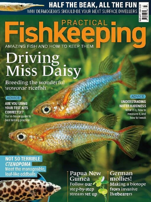 Title details for Practical Fishkeeping by Warners Group Publications Plc - Available